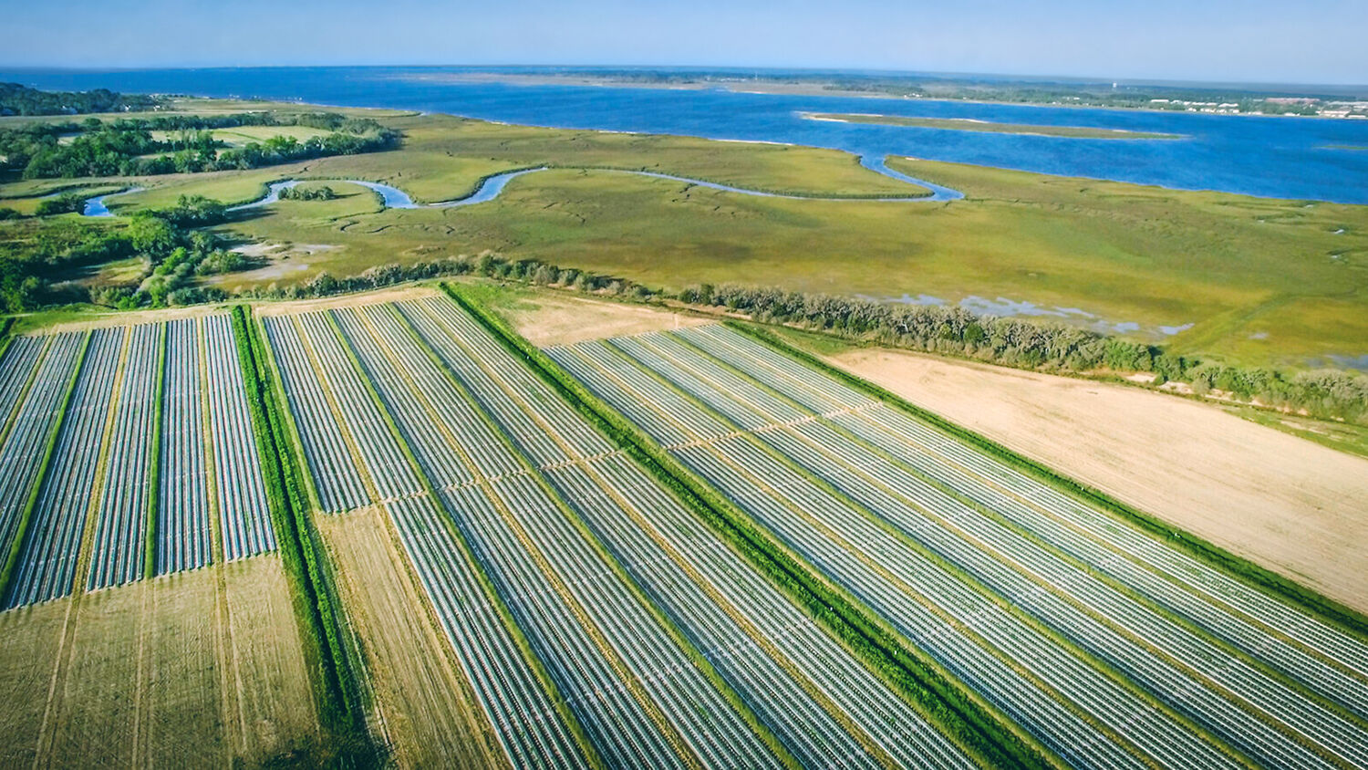 Seaside aerial